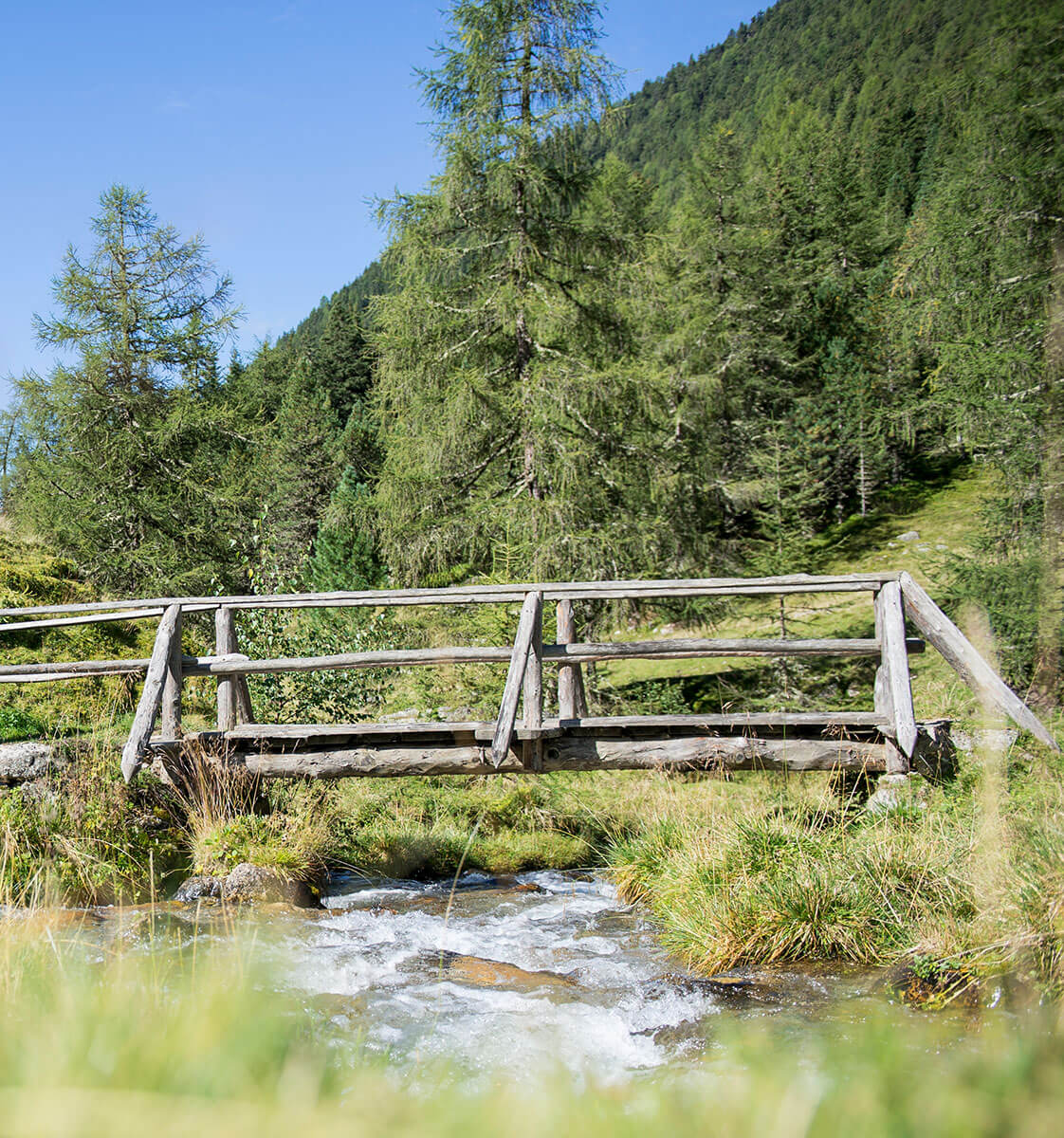 Mühlbacher Talele im Frühling - Detailaufnahme Holzbrücke - Hotel Amaten